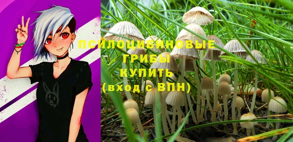 сатива Усолье-Сибирское