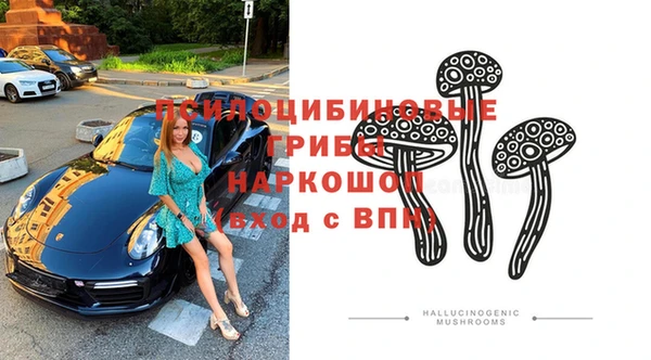 сатива Усолье-Сибирское