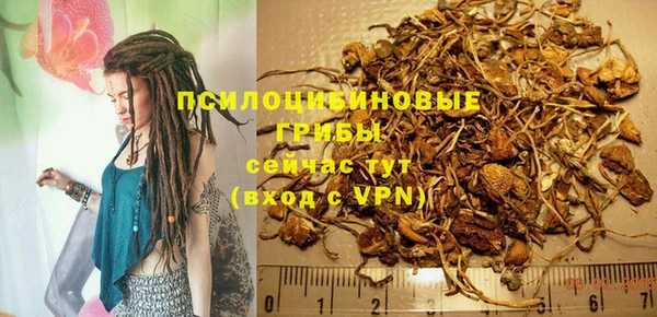 сатива Усолье-Сибирское