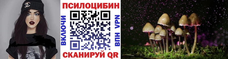 Купить закладки  Починок  Галлюциногенные грибы прущие грибы 